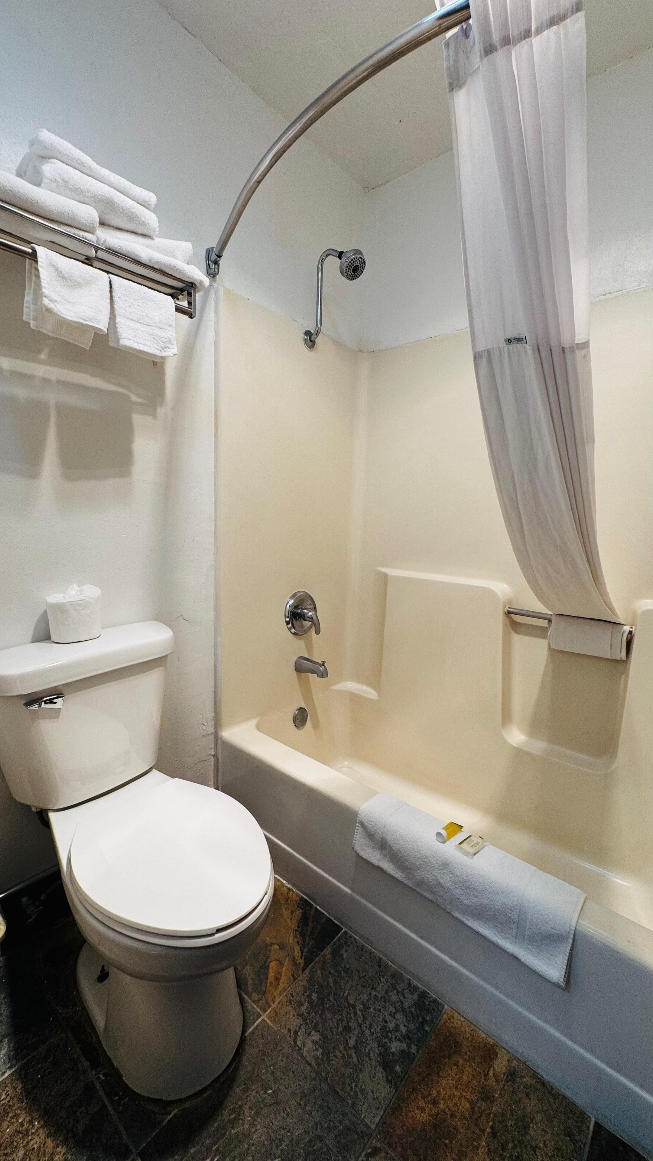 Een badkamer met toilet, bad en douchegordijn.
