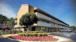 Un edificio de varios pisos con techo plano y un gran árbol en la fachada.