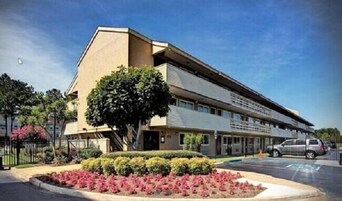 Un edificio de varios pisos con techo plano y un gran árbol en la fachada.