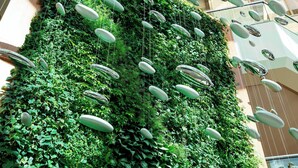 Property amenity - The Westin Pittsburgh, a Marriott Hotel (Pittsburgh)
