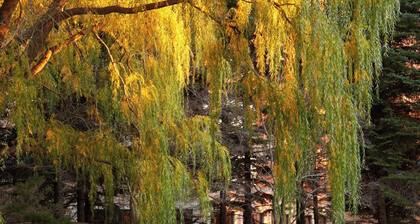 Marriott Minneapolis Southwest