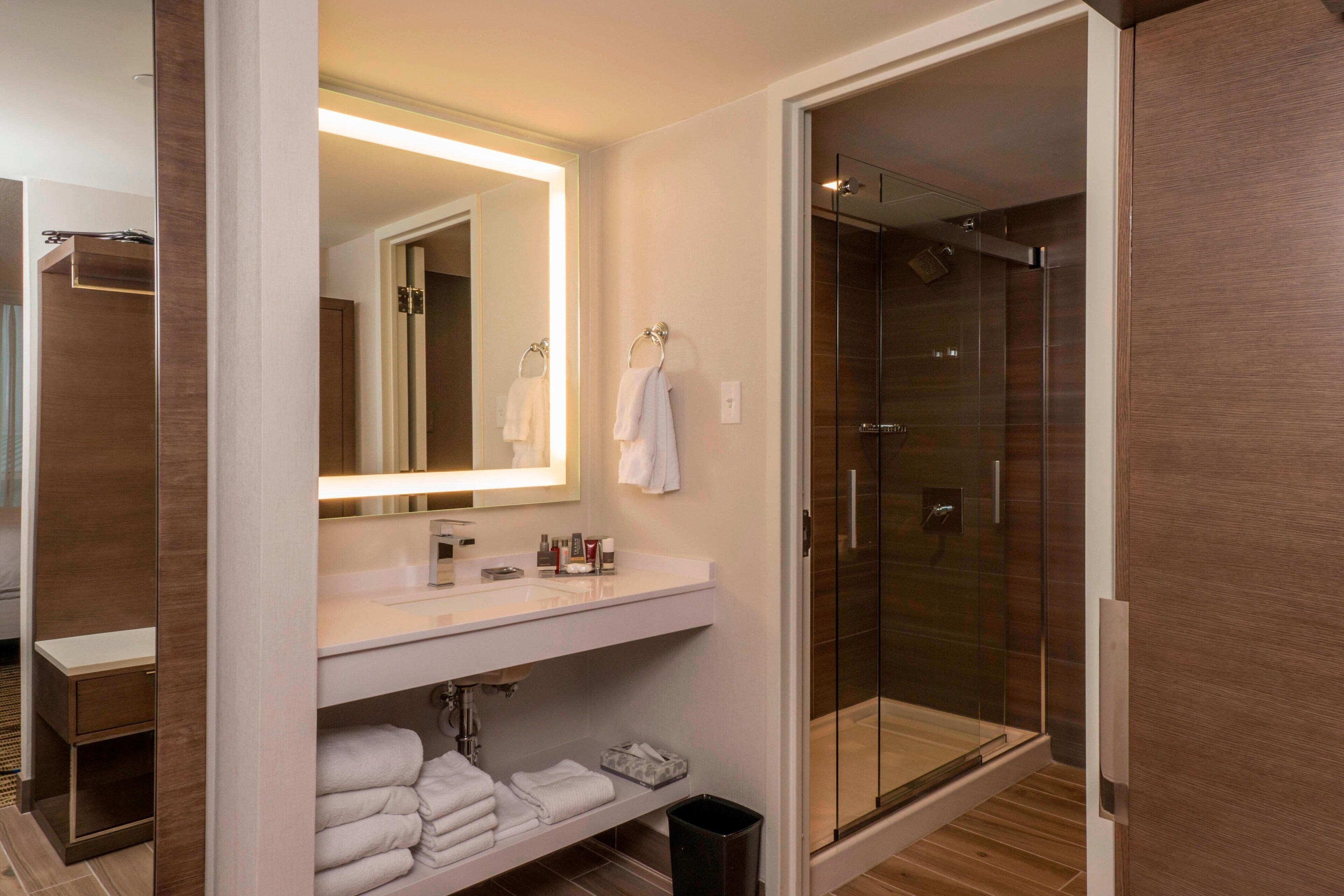 shower, free toiletries, hair dryer, towels