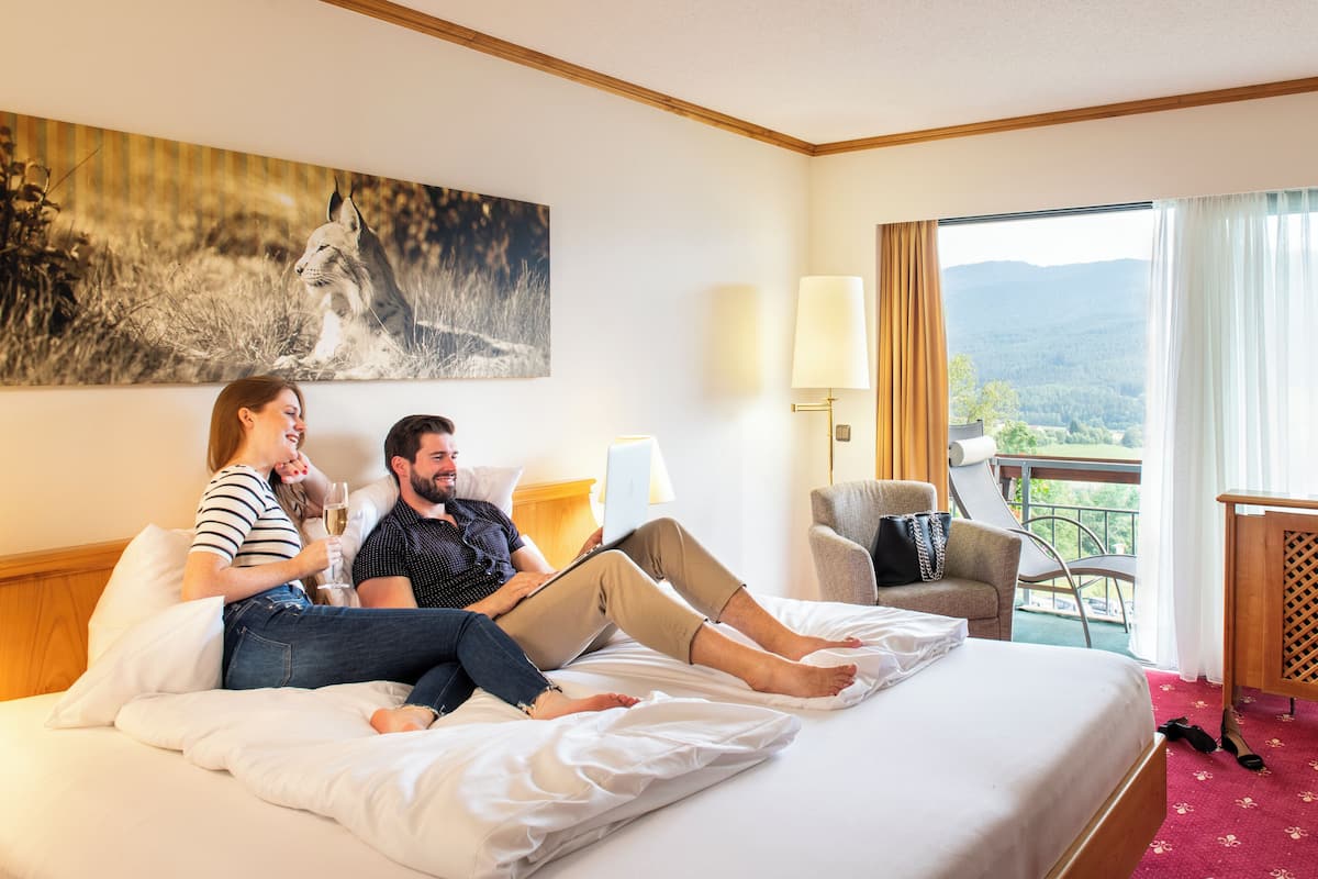 Standard Double Room (South) | Minibar, in-room safe, desk, laptop workspace