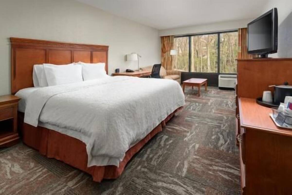 A hotel room with a large bed, a desk, a chair, a television, and a window with a view of trees.