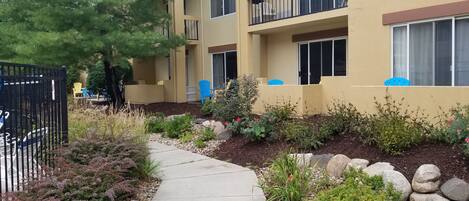 Vista dalla struttura