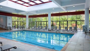 Indoor pool, sun loungers