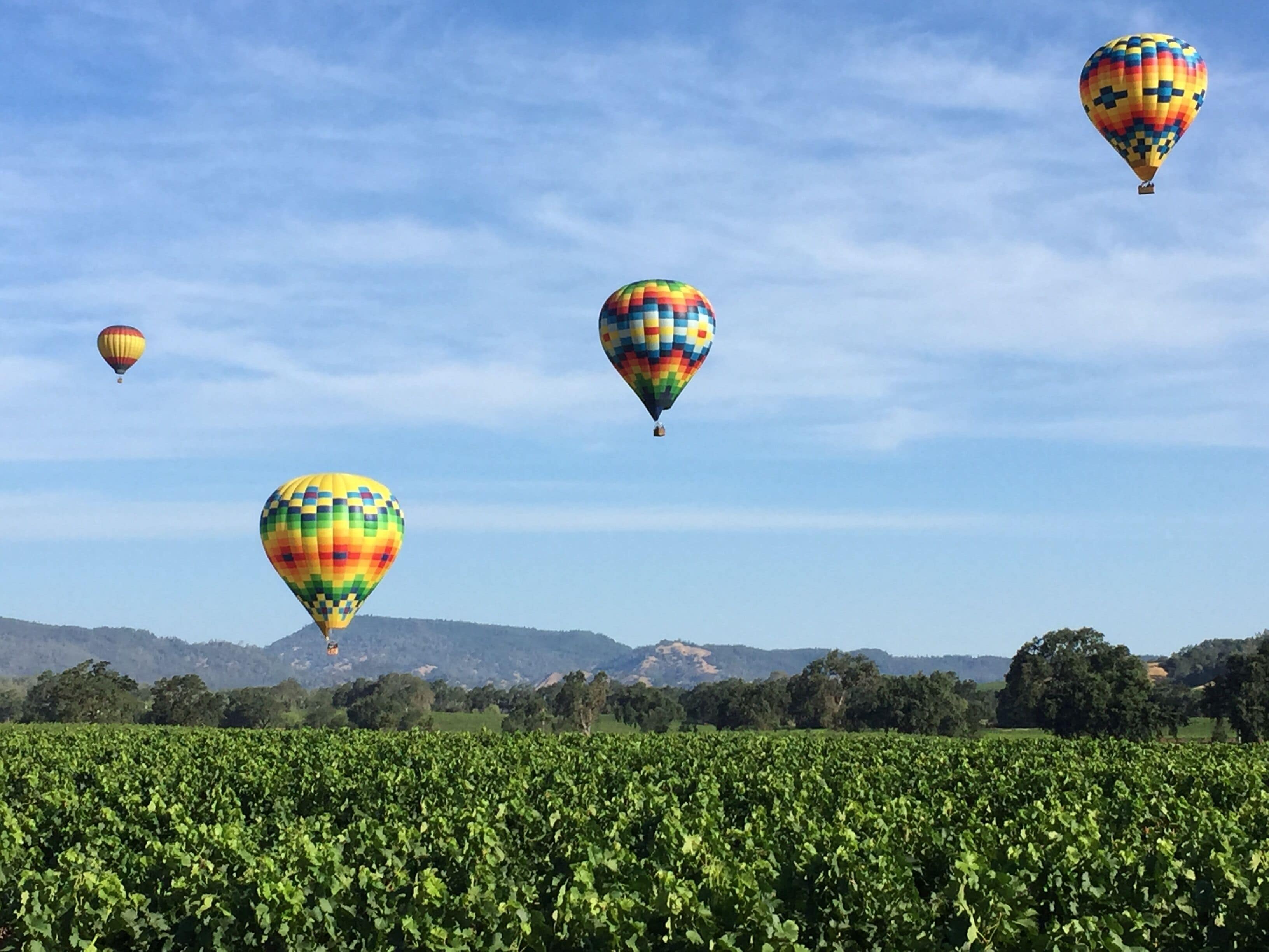 A vineyard with three hot air balloons in the sky.