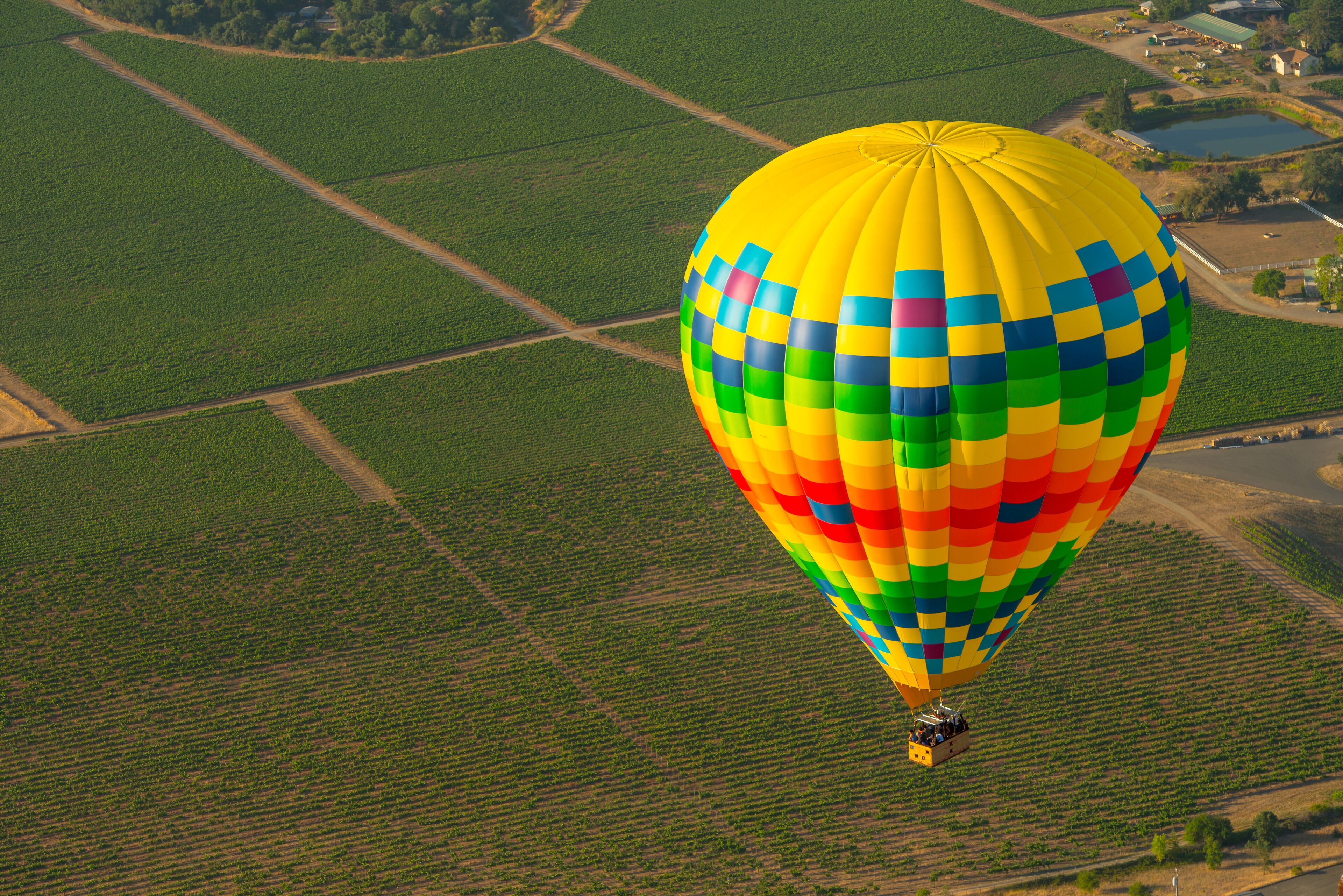 Une montgolfière à motifs à carreaux survolant un champ.
