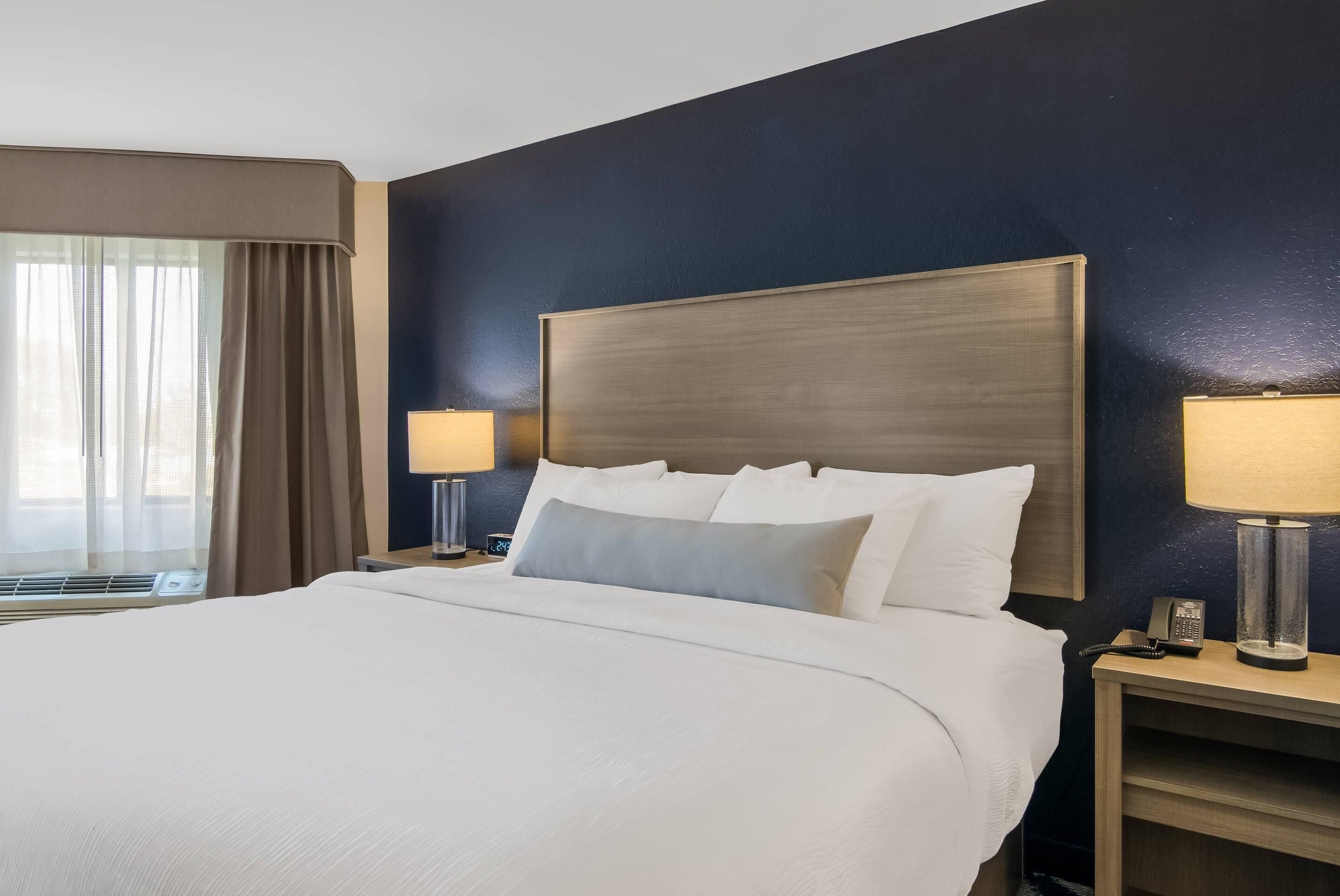 Standard Room, 1 King Bed, Non Smoking, Lake View | Desk, laptop workspace, blackout drapes, iron/ironing board