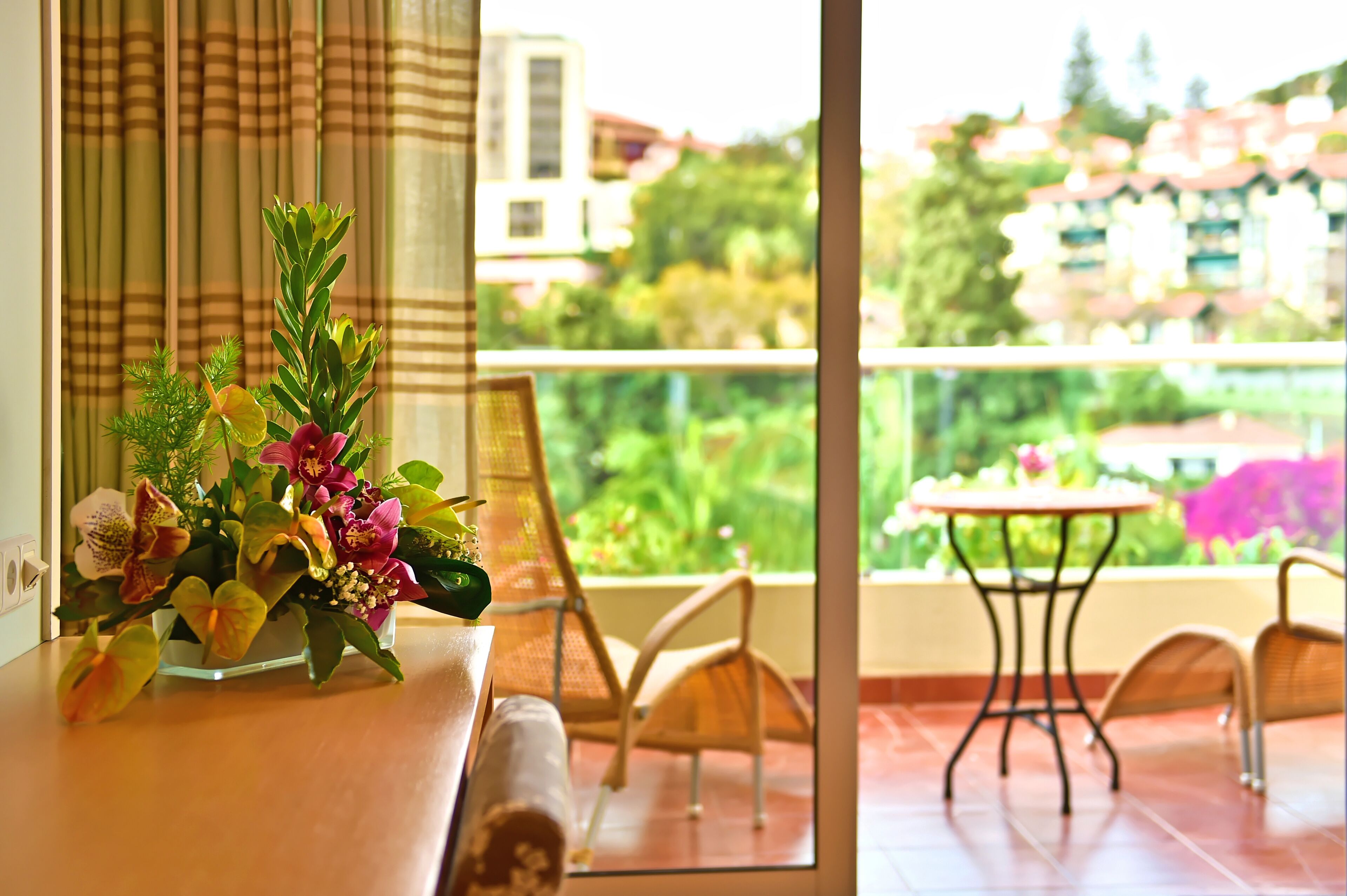 double or twin room, pool view | view from room