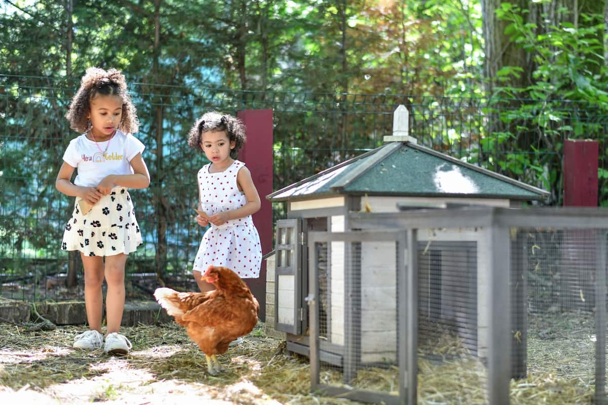 children’s activities