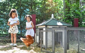 Activités pour enfants