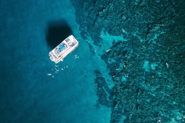 An aerial view of a cruise ship docked near a coral reef.