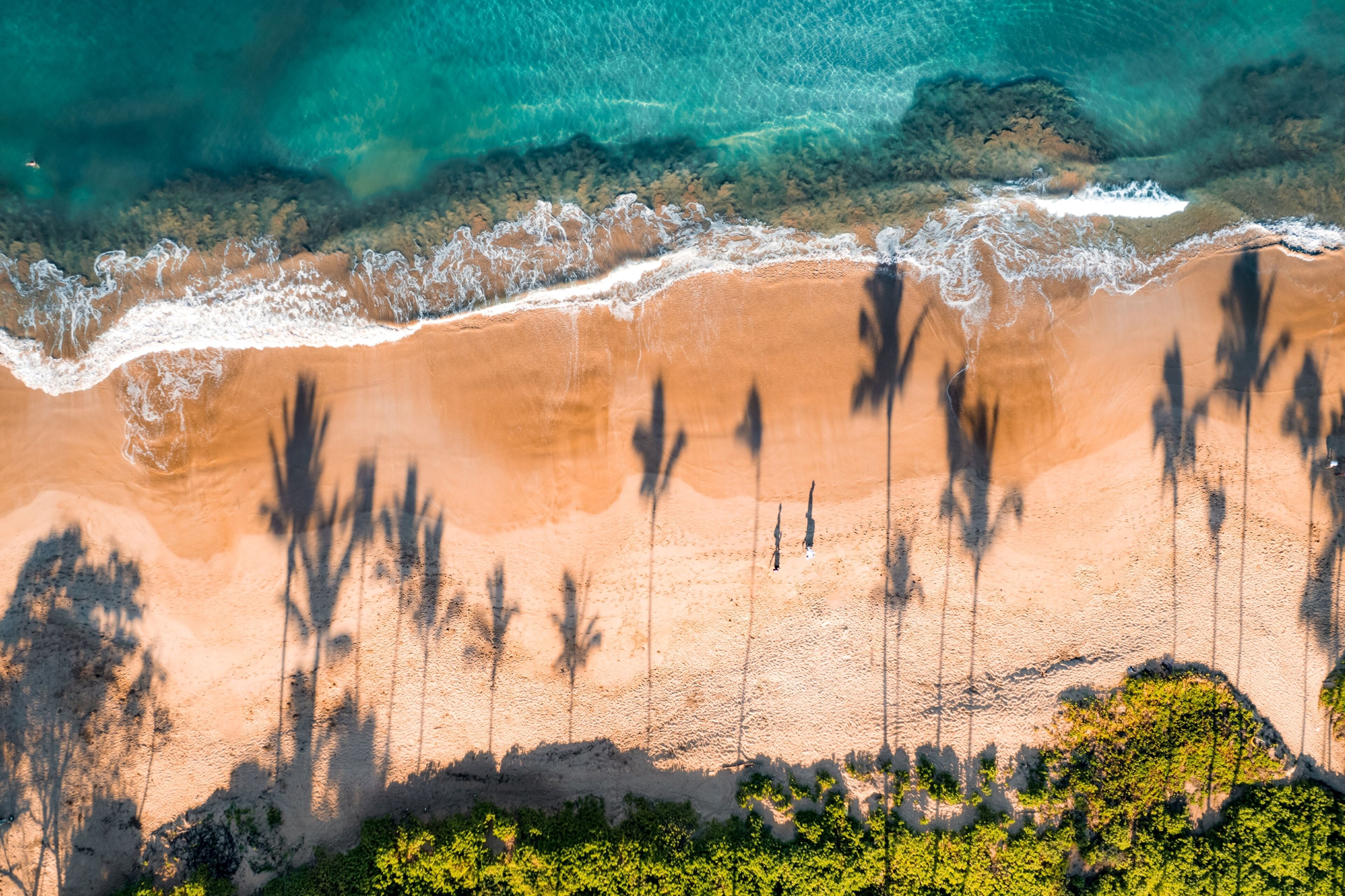 An aerial view of a beach with clear turquoise waters, sandy shore, and palm trees.