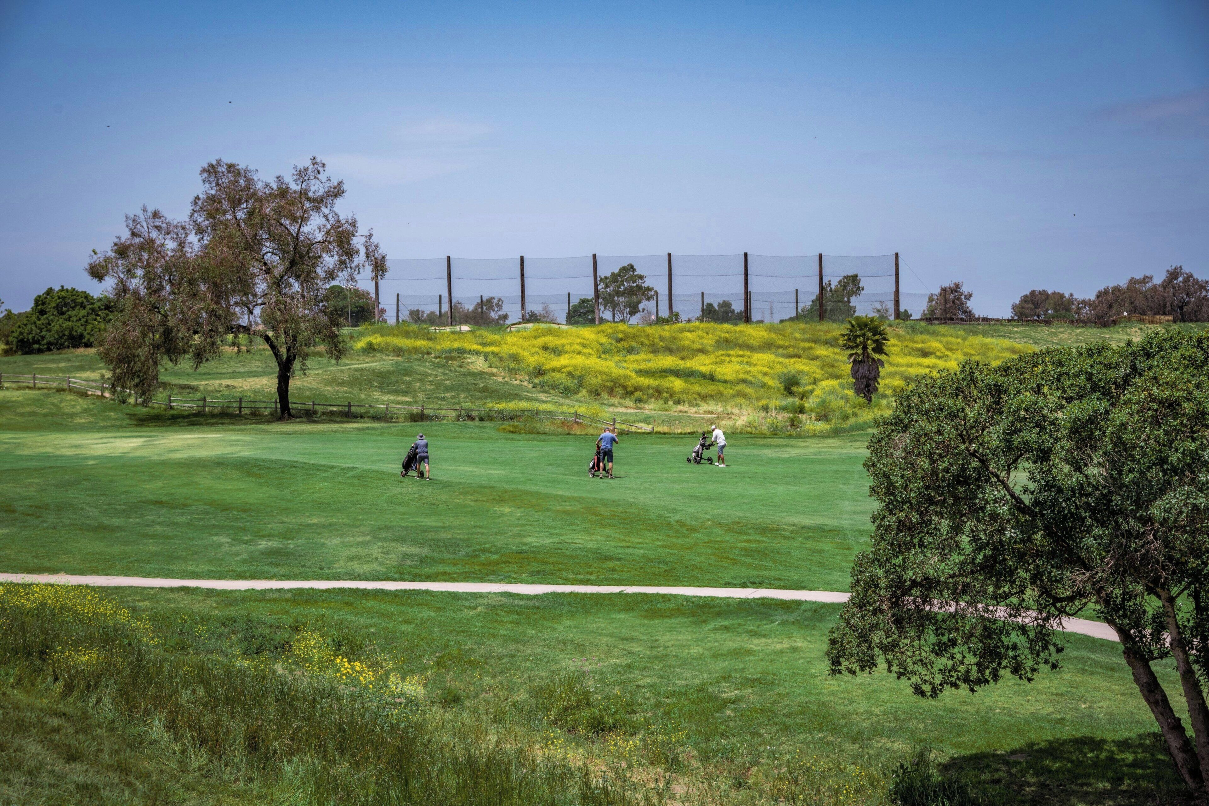 A golf course with a clear path, trees, and a fence in the background.