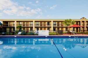 Outdoor pool, pool umbrellas, sun loungers