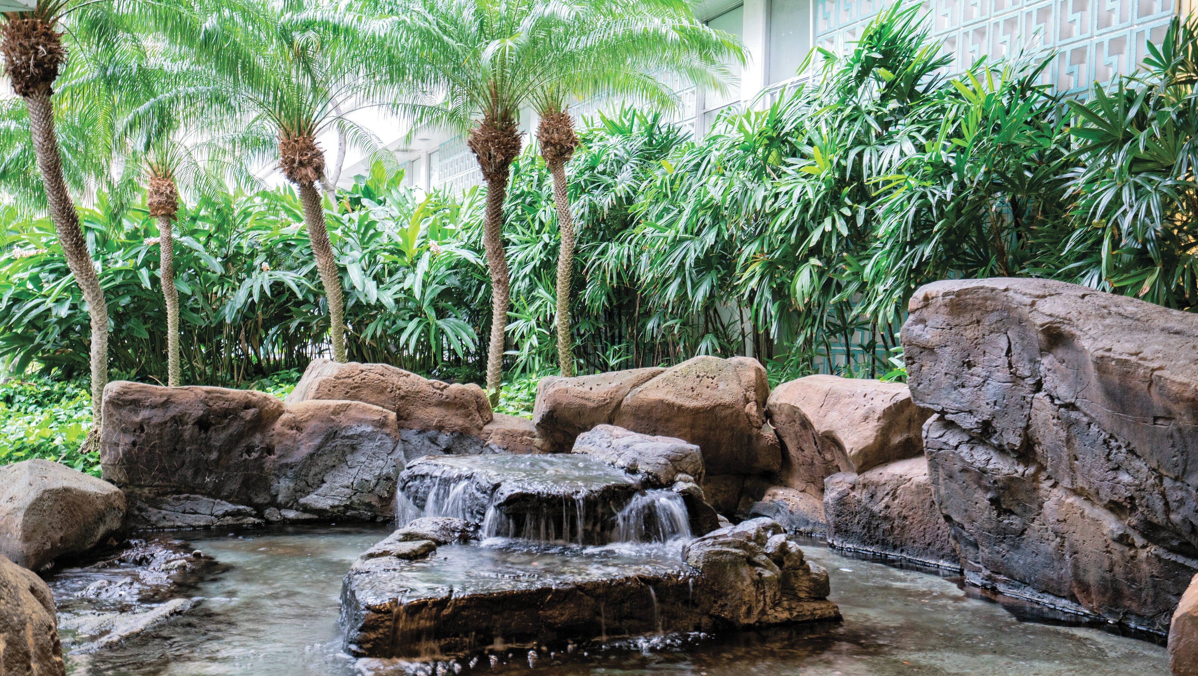 Servicio de la propiedad