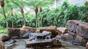 Un jardín tropical interior con una pequeña cascada, rocas grandes y abundante vegetación.
