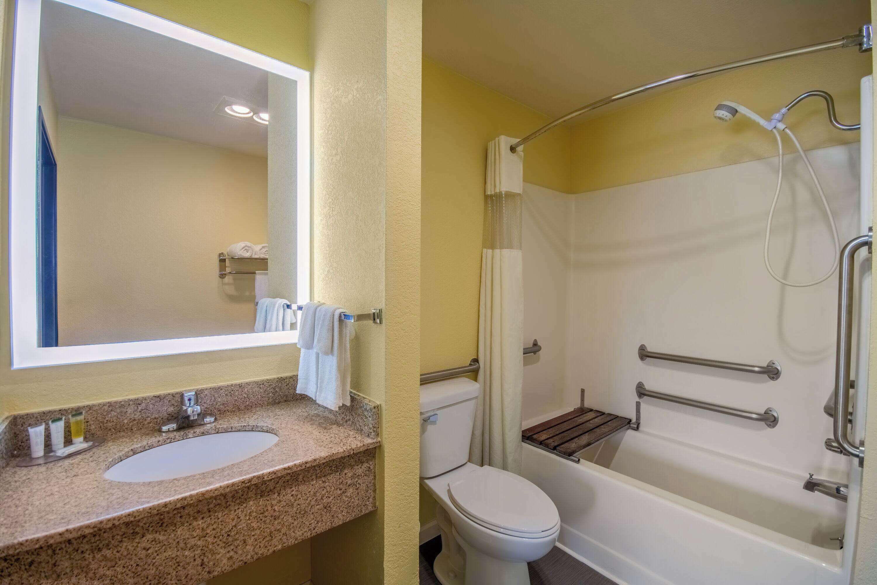 room, 1 king bed, accessible, non smoking | accessible bathroom