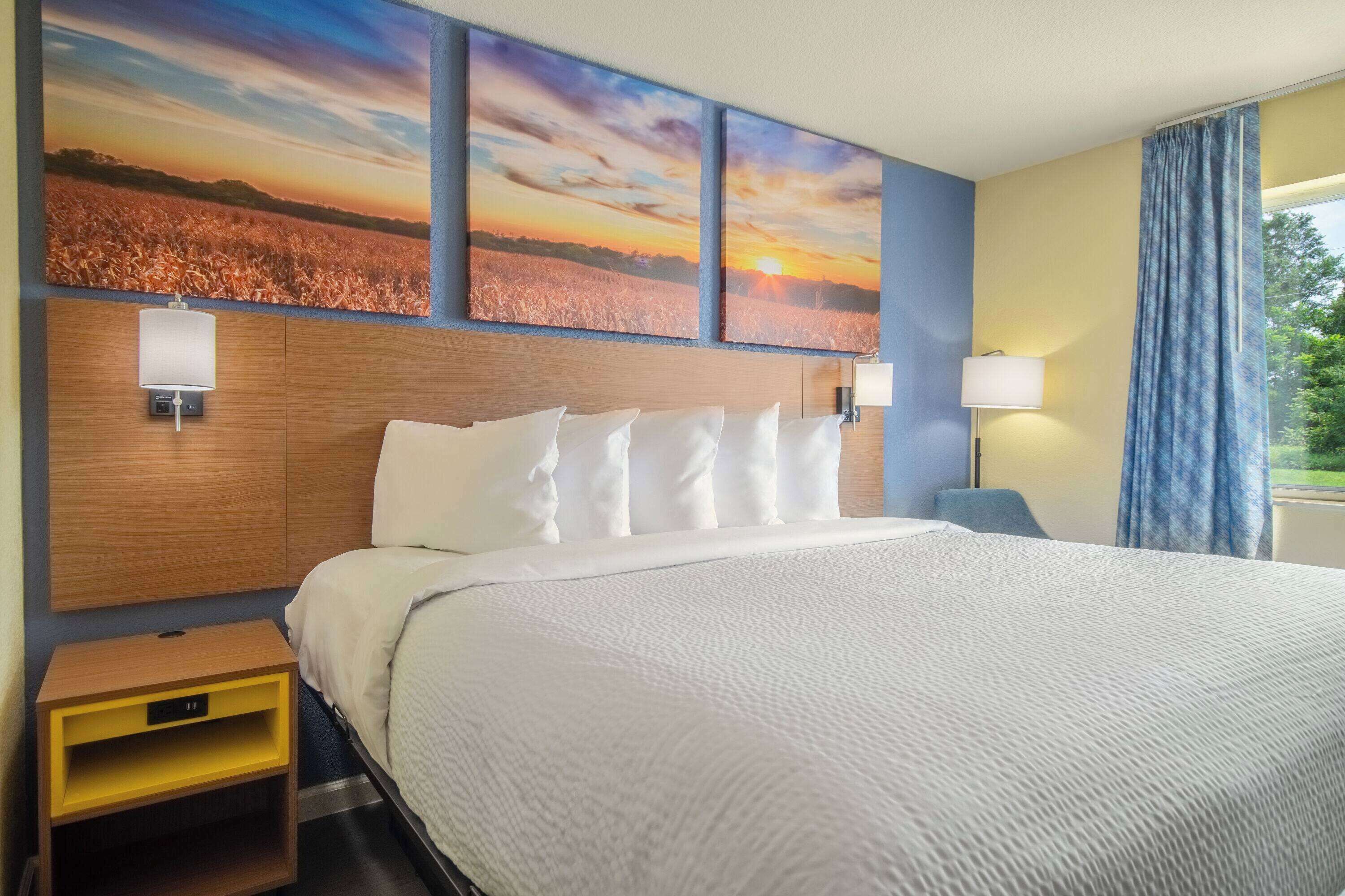 studio suite, non smoking (3 queen beds) | individually decorated, individually furnished, desk, laptop workspace