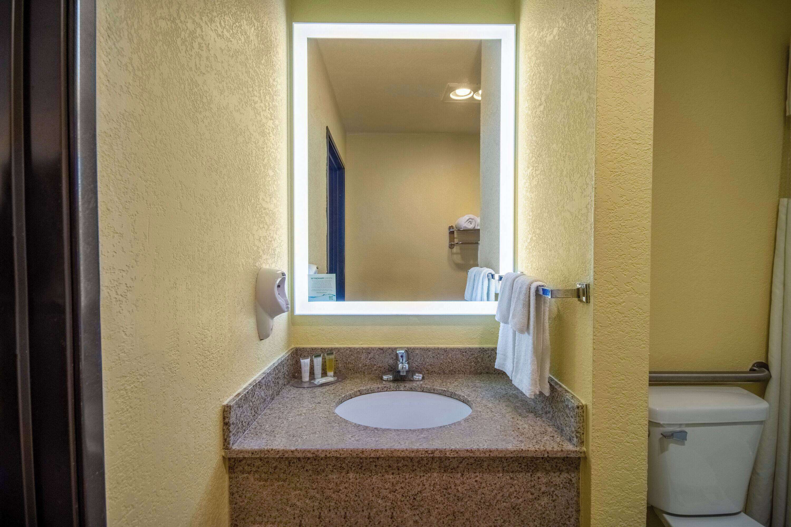 room, 1 king bed, accessible, non smoking | accessible bathroom