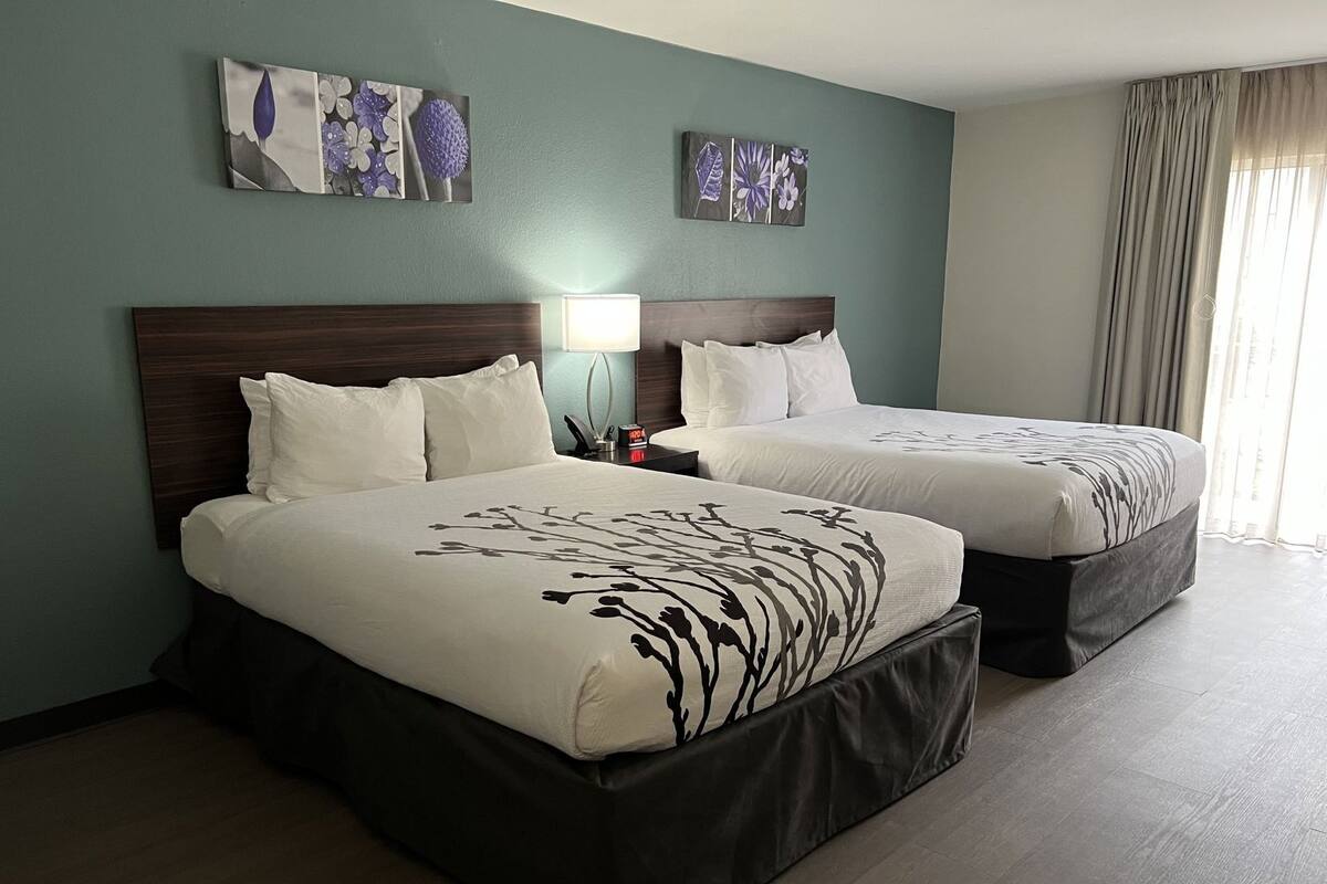 Down duvets, pillow-top beds, desk, blackout curtains