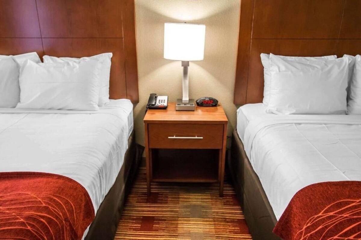 Down duvets, pillow-top beds, desk, blackout curtains