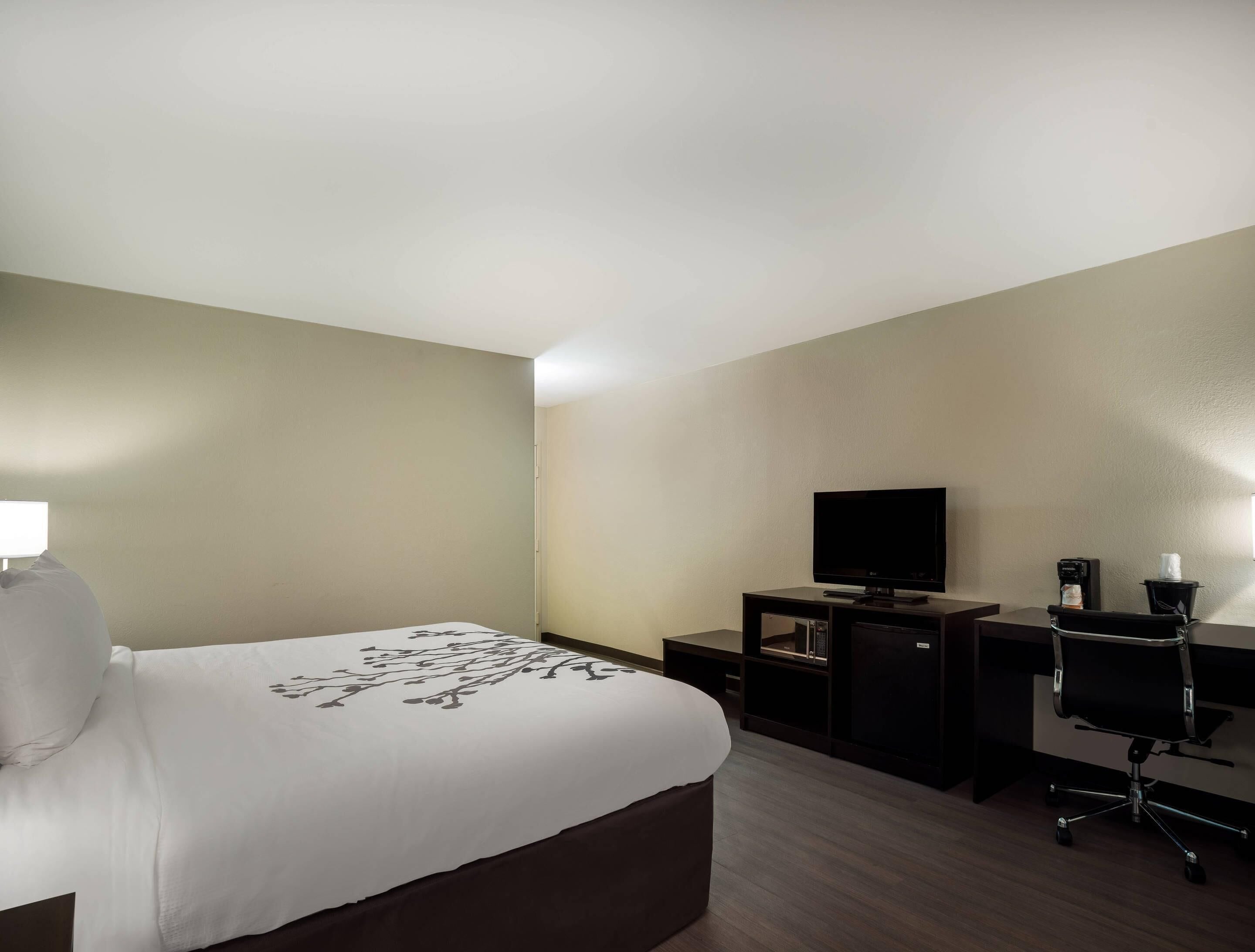 Standard Room, 1 King Bed, Non Smoking | Down comforters, pillowtop beds, desk, blackout drapes