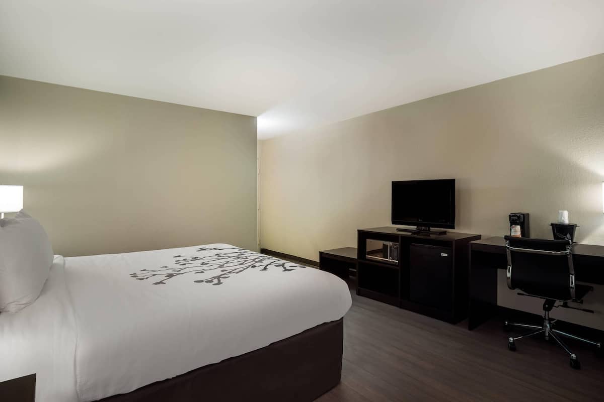 Standard Room, 1 King Bed, Non Smoking | Down comforters, pillowtop beds, desk, blackout drapes