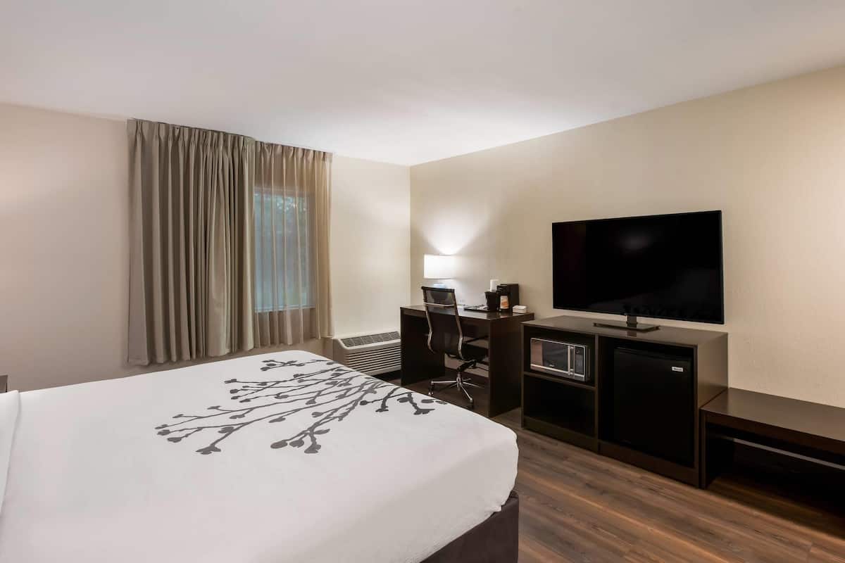 Room, 1 King Bed, Accessible, Non Smoking | Down duvets, pillow-top beds, desk, blackout curtains