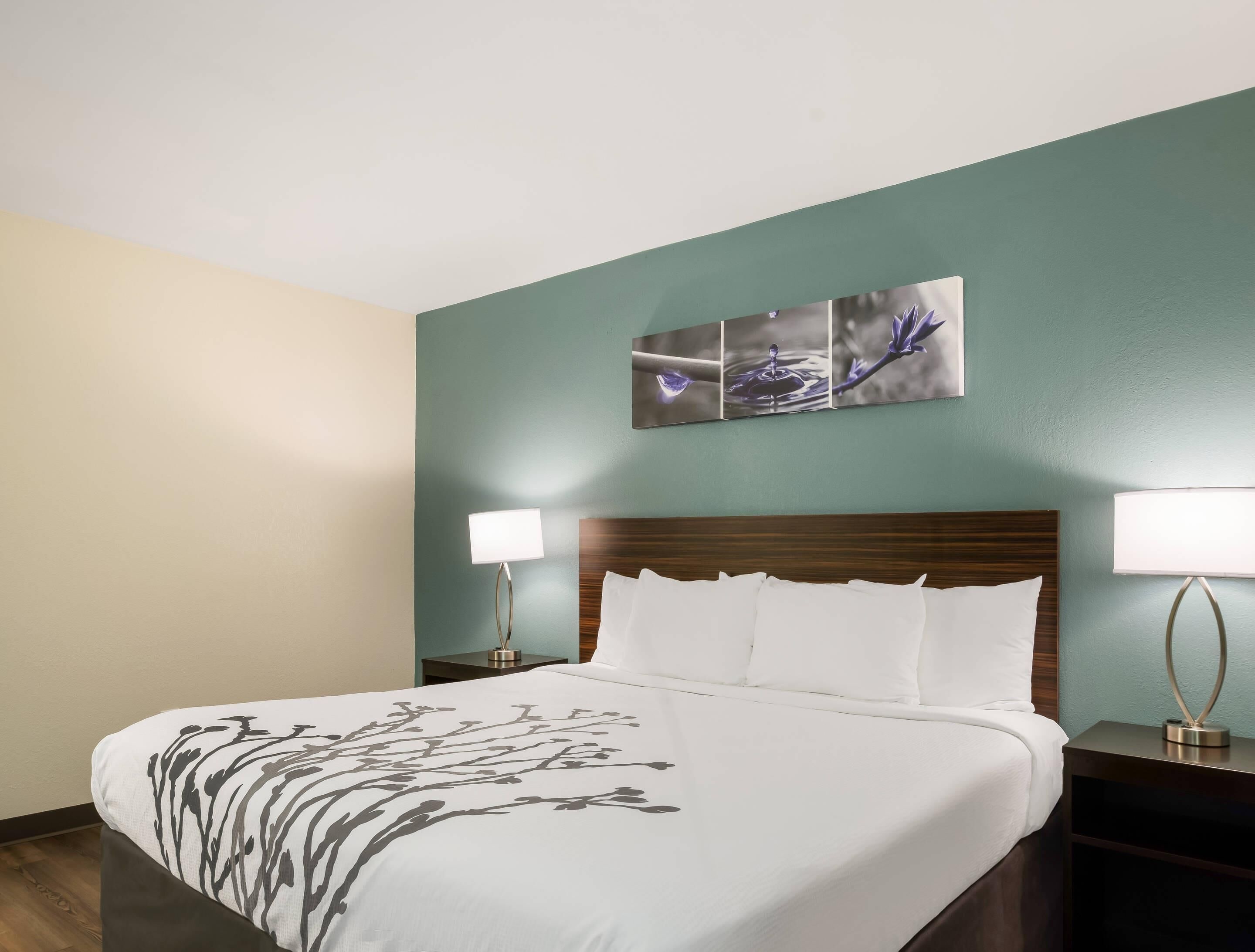 Une chambre d’hôtel avec un lit, deux lampes de chevet, une œuvre d’art accrochée au mur et une tête de lit en bois.