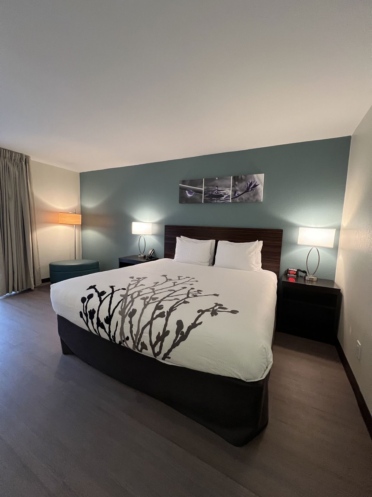 Down duvets, pillow-top beds, desk, blackout curtains