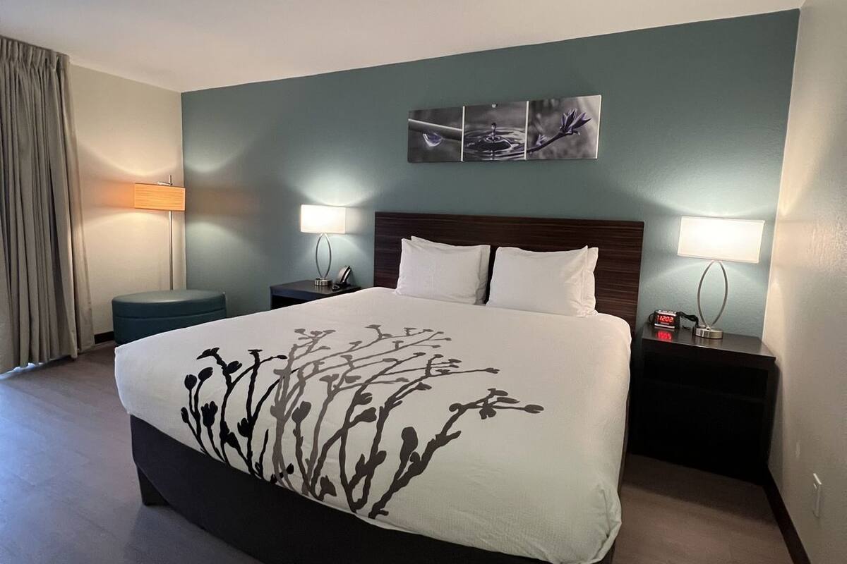 Down duvets, pillow-top beds, desk, blackout curtains