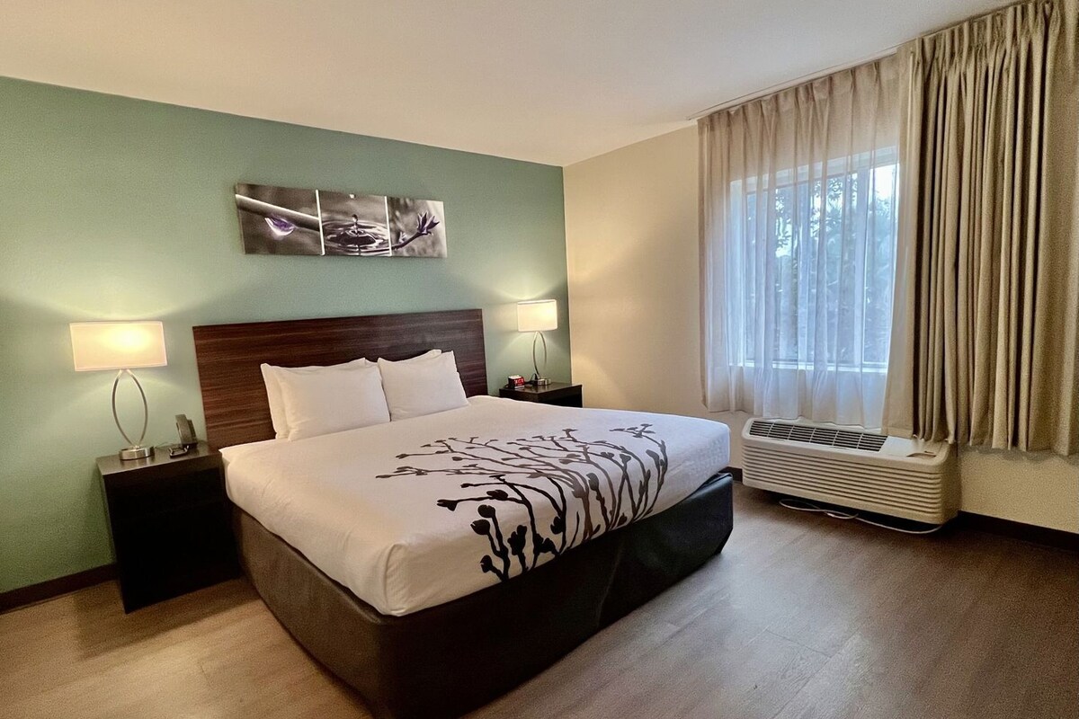 Une chambre d’hôtel comprenant un lit, deux tables de chevet, une œuvre d’art accrochée au mur, une fenêtre avec des rideaux et un appareil de climatisation.