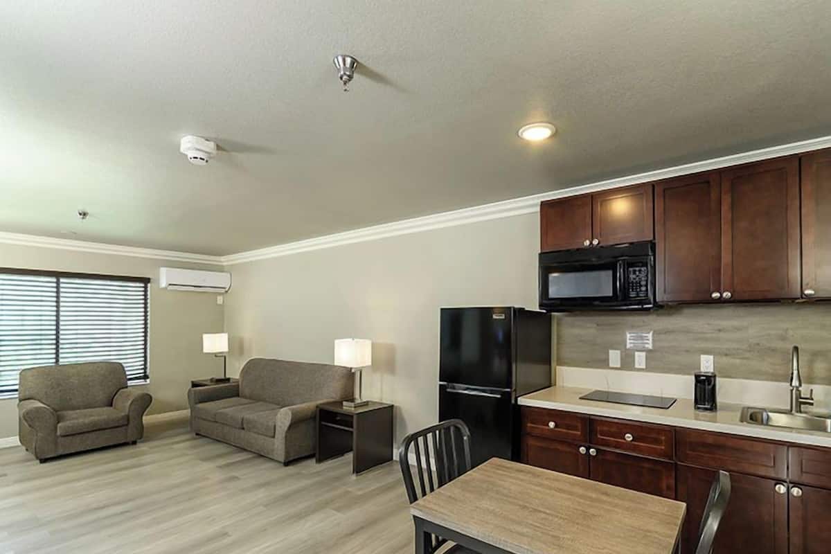 A compact living space with a kitchenette, two sofas, a dining table, and a TV.