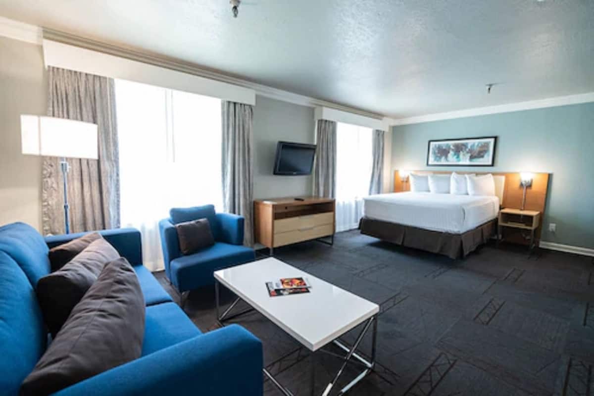 A hotel room with a bed, a desk, a chair, a TV, and a window with curtains.
