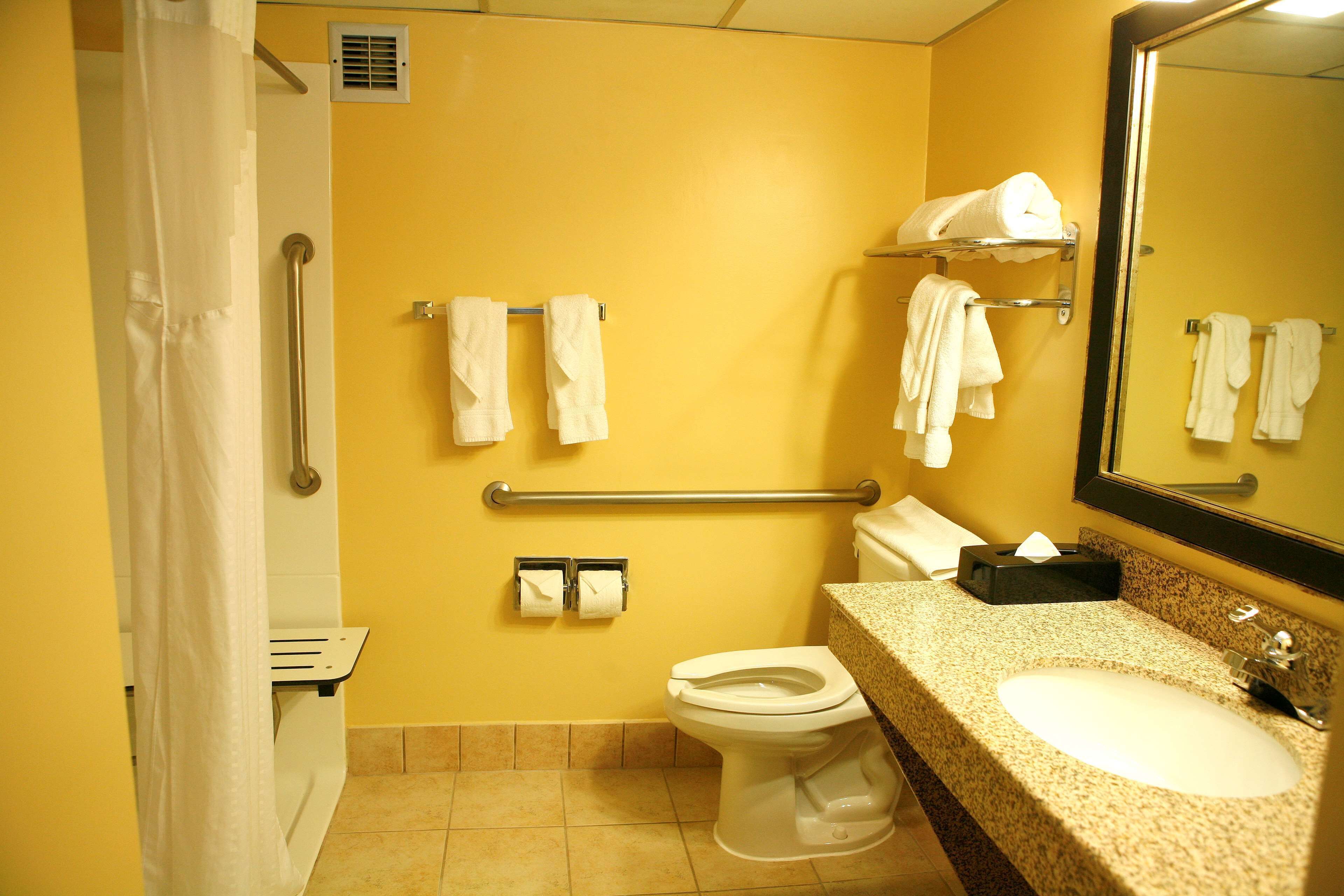 A bathroom with a toilet, sink, and handrails.
