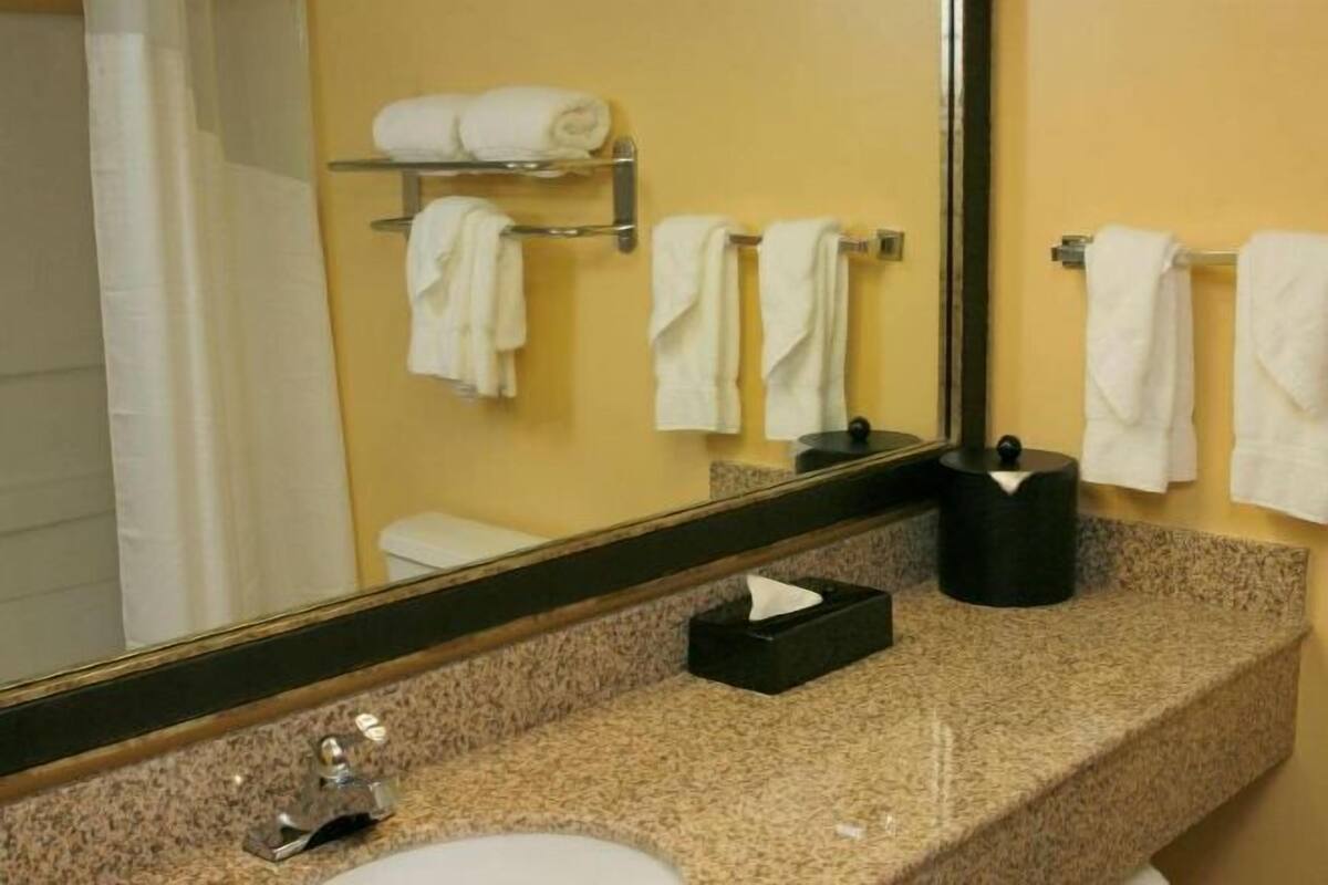 Set di cortesia gratuito, asciugacapelli, asciugamani