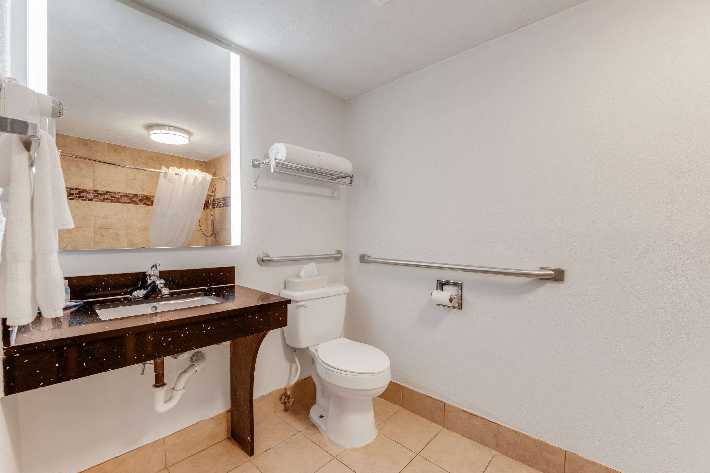 A bathroom with a sink, mirror, toilet, and handrails.