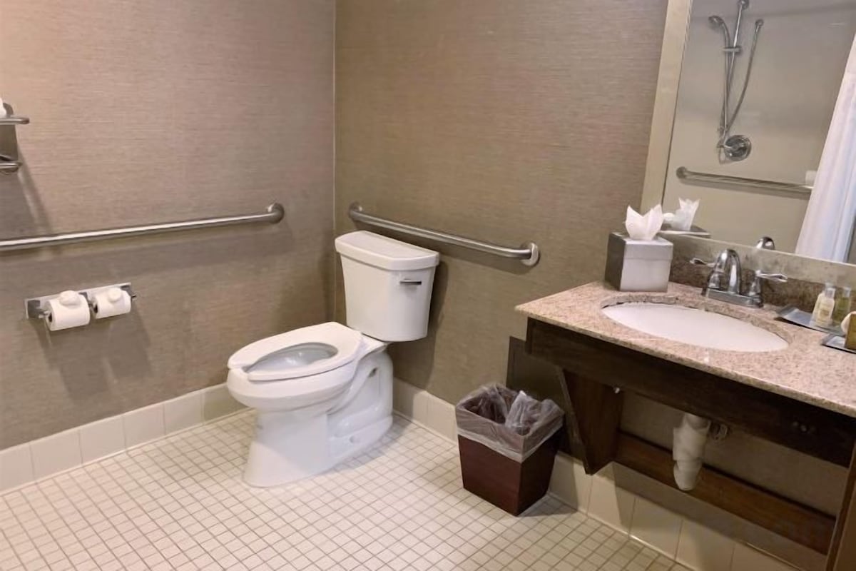 Bathroom | Combined shower/tub, free toiletries, hair dryer, towels
