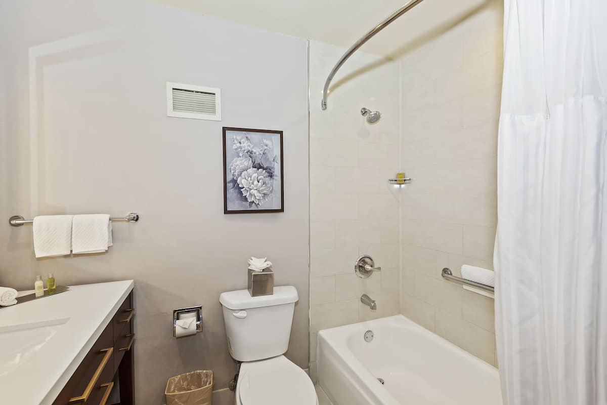junior suite, 1 king bed | bathroom | combined shower/bathtub, free toiletries, hair dryer, towels