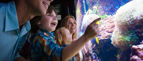 Une famille qui observe une exposition sur les aquariums.