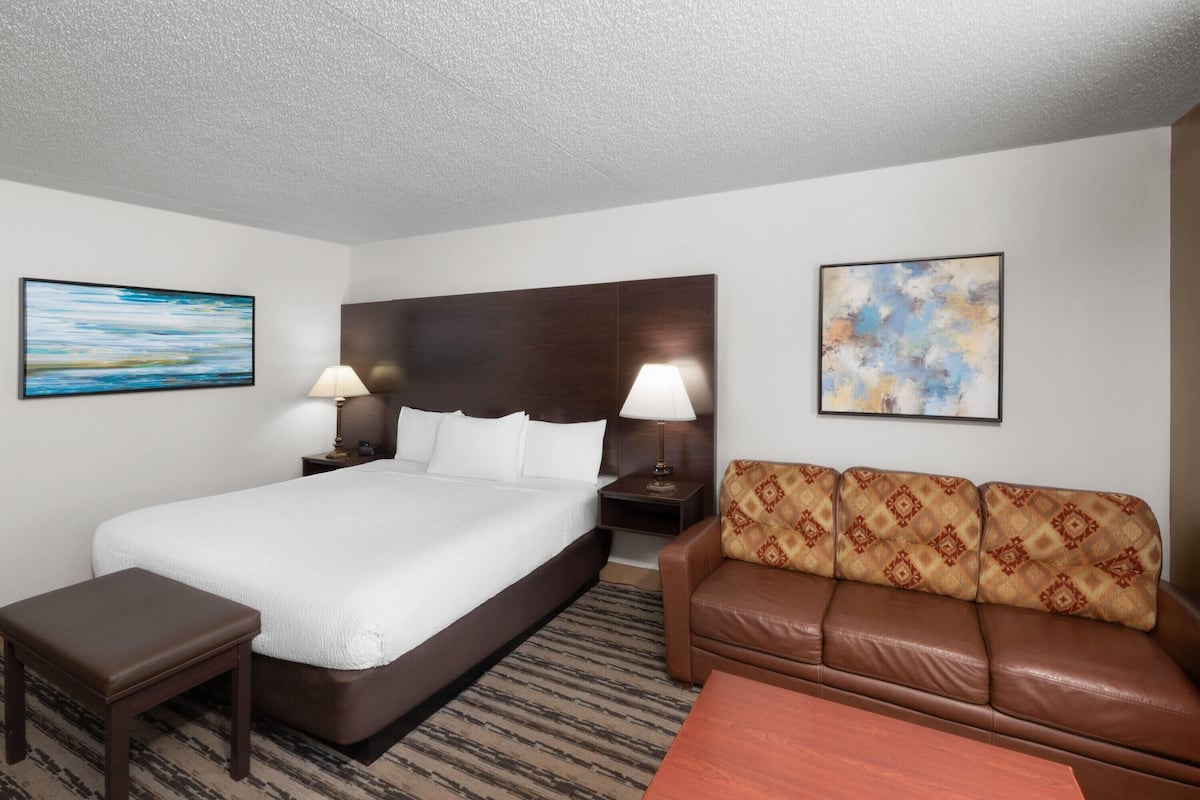 A hotel room with a large bed, two bedside tables with lamps, a brown leather sofa, and two framed abstract paintings.