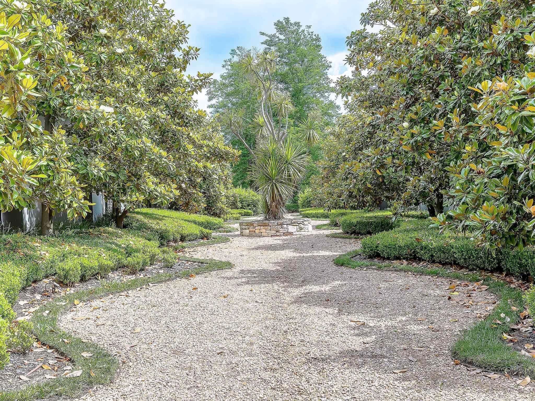 A gravel pathway flanked by lush greenery and a central tree.