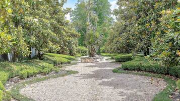 A gravel pathway flanked by lush greenery and a central tree.