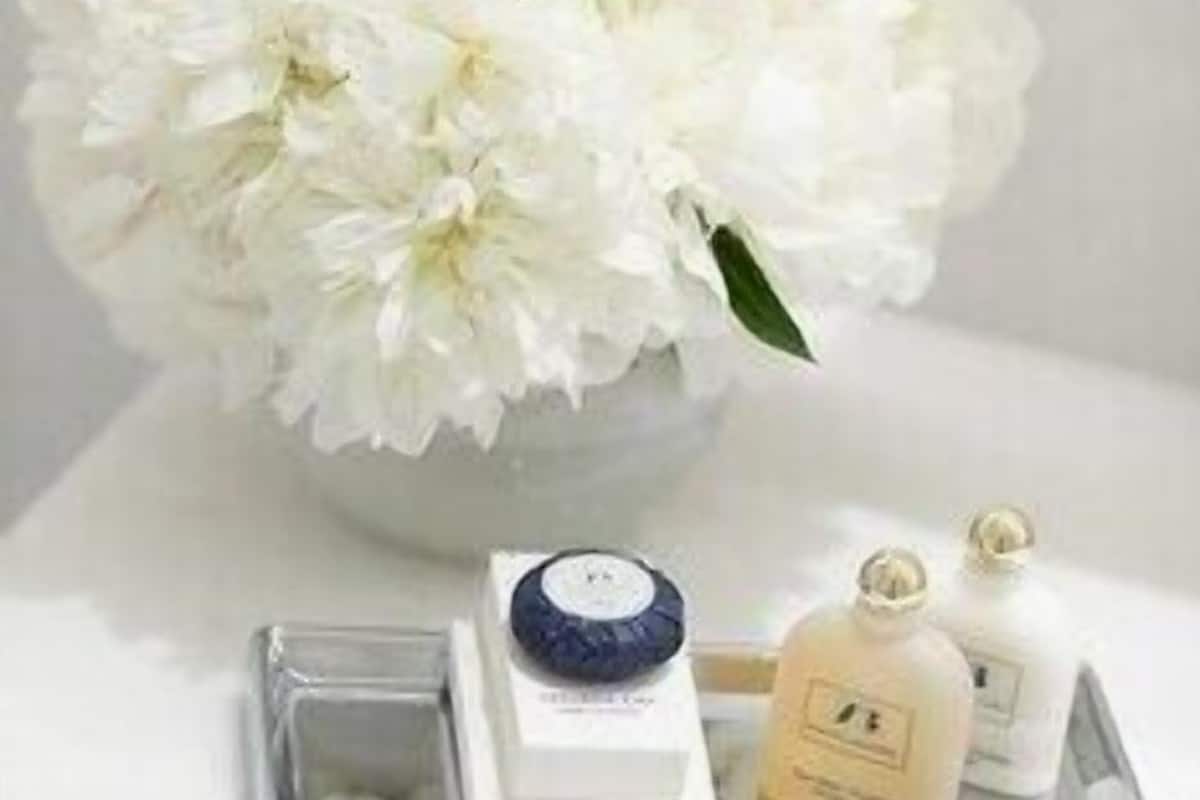 Amenidades de baño | Amenidades de baño de diseñador, secadora de cabello, batas, pantuflas
