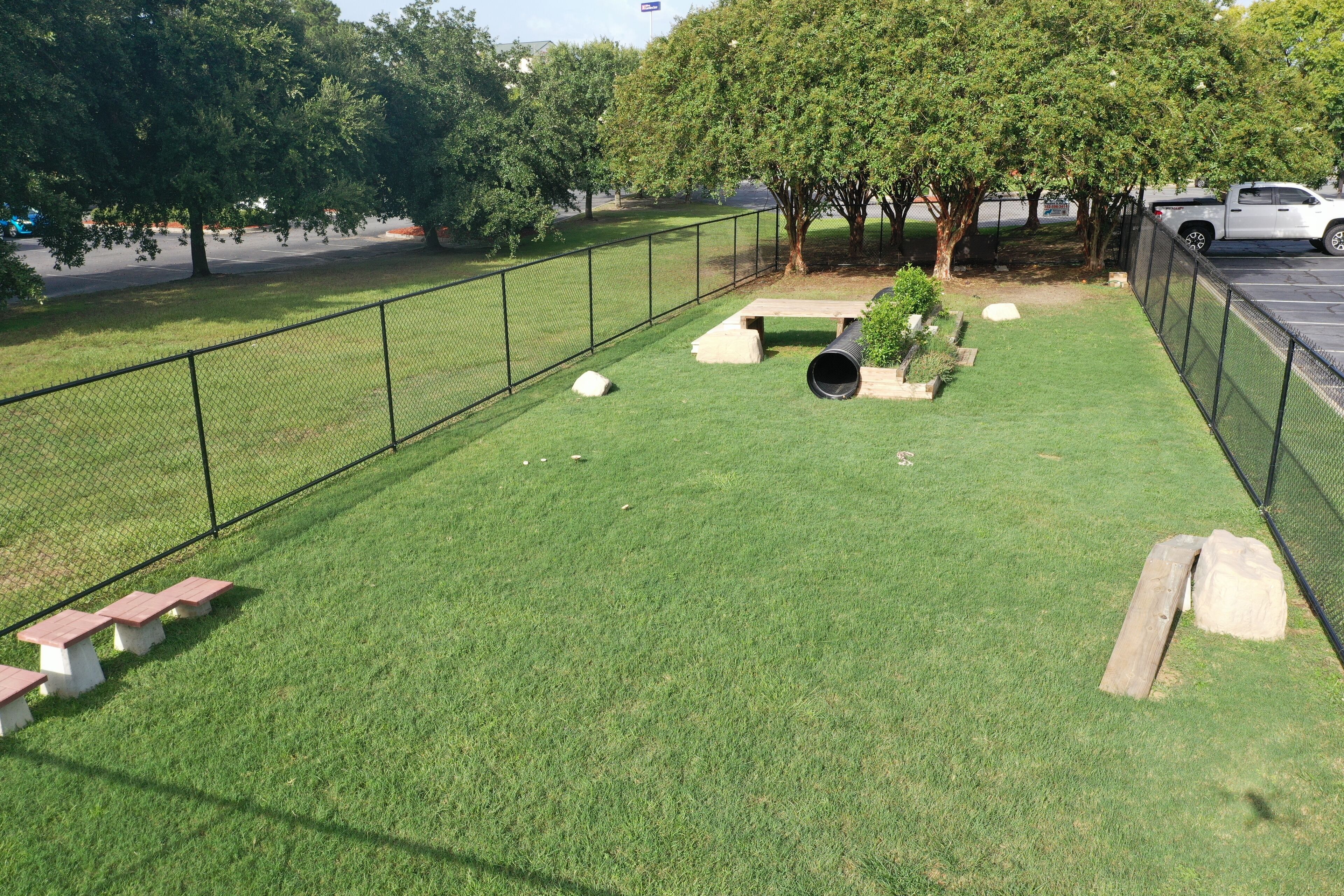 pet-friendly amenities