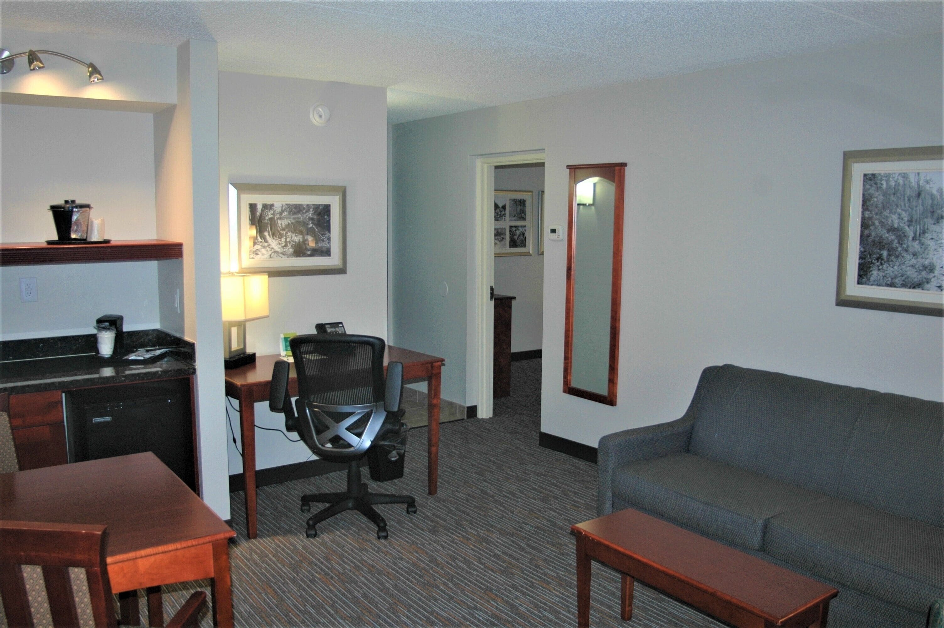 suite, 1 king bed with sofa bed, non smoking (city/courtyard view) | living area | 50-inch flat-screen tv with satellite channels, tv