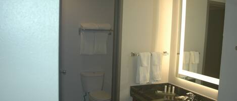 A bathroom with a toilet, a sink, and a mirror.