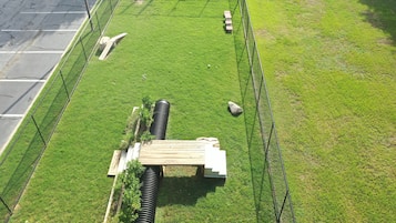 Pet-friendly amenities